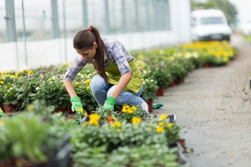 Beautiful Docklands garden showcasing vibrant flowers and lush greenery.
