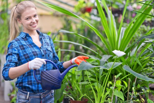 Workers wearing PPE operating lawn and pruning equipment