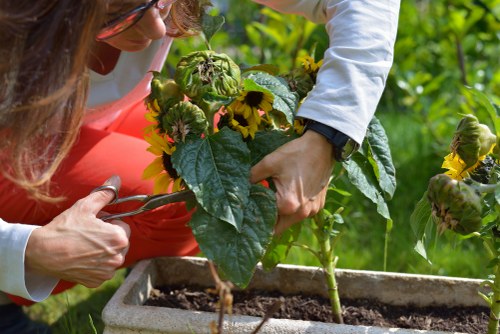 Gardening Docklands crew performing insured gardening work with protective equipment